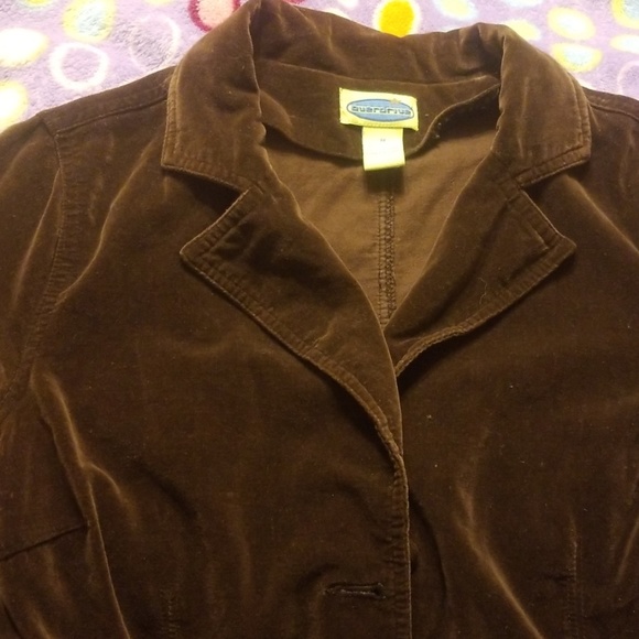 Jacket. Womens. - Picture 4 of 6